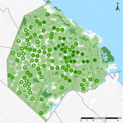 Plan Buenos Aires Verde - Gobierno de Ciudad de Buenos Aires.