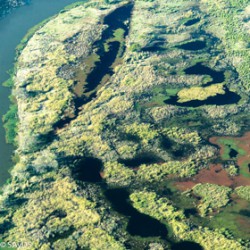 El Delta del Paraná, un humedal protegido