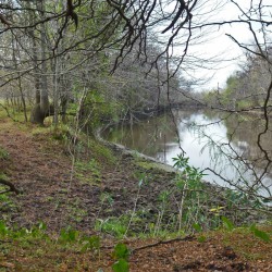 Humedales: avances para el manejo ambiental integral de la cuenca del río Luján