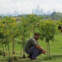 De relleno sanitario a parque público: harán un paseo verde donde había 46 millones de toneladas de basura
