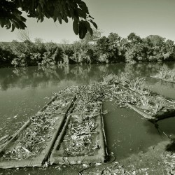 Plantas y humedales artificiales devuelven oxígeno y vida al arroyo Cildáñez