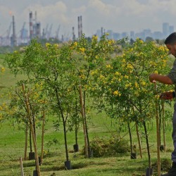 Un paso clave para transformar la ex CEAMSE de Villa Domínico en un parque ecológico