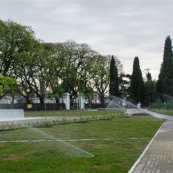 Lenta recuperación de la superficie verde que la ciudad perdió en los últimos años