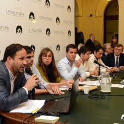 Audiencia pública por la urbanización de cinco terrenos