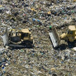 Analizan modelos de incineración gestionados por empresas eléctricas