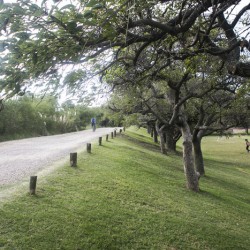 La Reseva Ecológica festeja sus 32 años con la plantación de 50 árboles