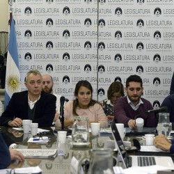 Avanza el debate sobre los nuevos Códigos de la Ciudad