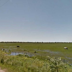 Desarrollo inmobiliario Permiten barrios privados en un área protegida de Berazategui y hay fuerte polémica