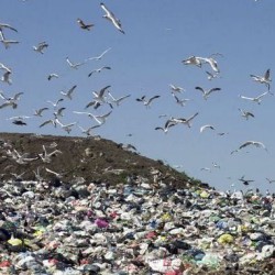 La planta de la Ceamse ya recibe 700 toneladas diaria de basura y separa los neumáticos