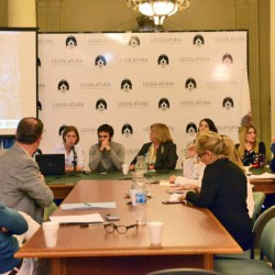 El titular del IVC concurrió a la Legislatura por la urbanización de la Villa 20