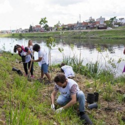 Plantaron 3.000 árboles a orillas del Riachuelo