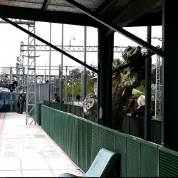 Nuevo tren eléctrico vuelve a conectar a Berazategui y Bosques