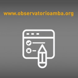 Sitio del Observatorio Metropolitano: breve encuesta