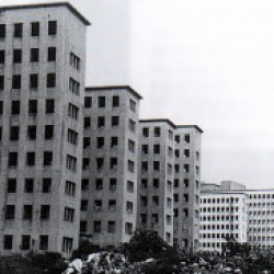 LA LEGISLATURA DIO LUZ VERDE PARA LA CONSTRUCCIÓN DE 11 TORRES DONDE ESTUVO EL ALBERGUE WARNES